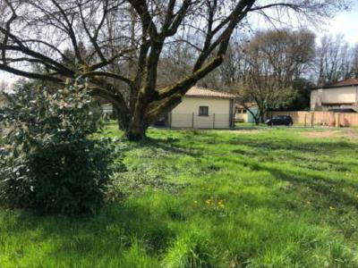 Acheter Maison 110 m2 Blanquefort