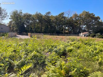For sale Teste-de-buch Gironde (33260) photo 1