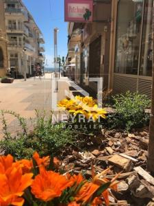 For sale Saint-raphael Var (83700) photo 0