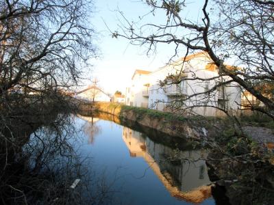 For rent Olonne-sur-mer 2 rooms 46 m2 Vendee (85340) photo 1