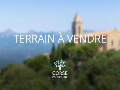 For sale Figari 3280 m2 Corse (20114) photo 0