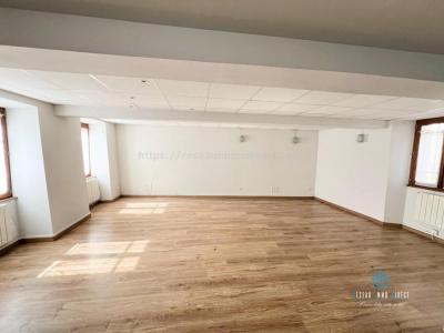 Annonce Vente 7 pices Maison Saint-etienne-de-saint-geoirs 38