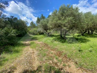 Annonce Vente Terrain Fontvieille 13