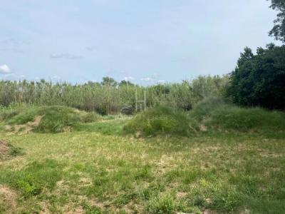 For sale Paradou 8 rooms 224 m2 Bouches du Rhone (13520) photo 3