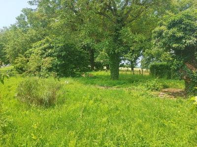 Acheter Maison 82 m2 