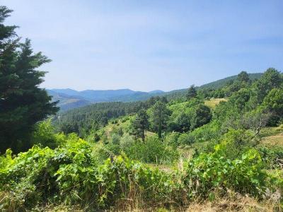 Annonce Vente 8 pices Maison  07