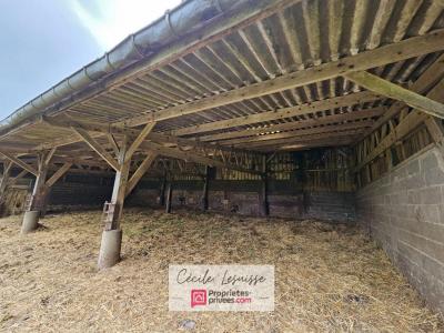 For sale Saint-jean-de-folleville 4 rooms 150 m2 Seine maritime (76170) photo 4