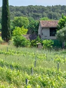 Acheter Maison Cotignac 378000 euros