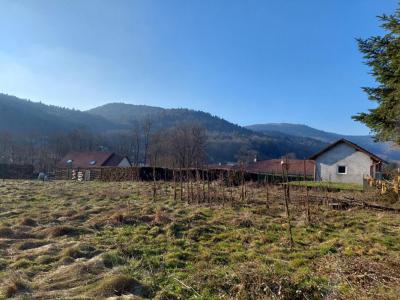 Annonce Vente Terrain Lepuix 90