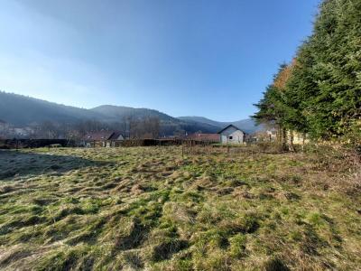 Acheter Terrain 630 m2 Lepuix