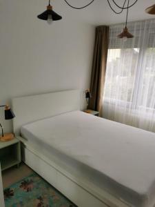 Louer Appartement Lyon-8eme-arrondissement Rhone
