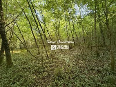 Annonce Vente 5 pices Maison Bayas 33