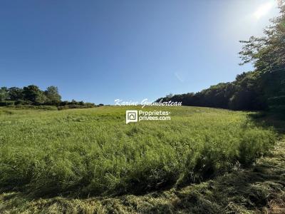 Acheter Maison Bayas Gironde