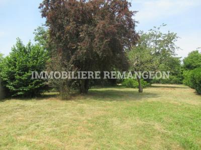 For sale Lamotte-beuvron 1304 m2 Loir et cher (41600) photo 0