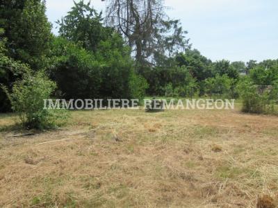 Annonce Vente Terrain Lamotte-beuvron 41