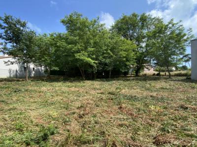 For sale Jard-sur-mer 1450 m2 Vendee (85520) photo 0