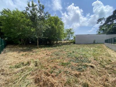 Annonce Vente Terrain Jard-sur-mer 85
