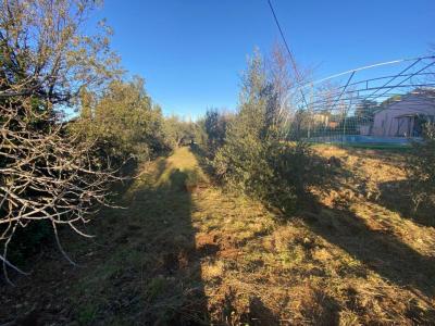For sale Flayosc 8 rooms 190 m2 Var (83780) photo 3