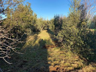 For sale Flayosc 8 rooms 190 m2 Var (83780) photo 4