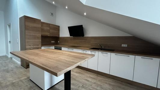 Annonce Location 2 pices Appartement Roanne 42