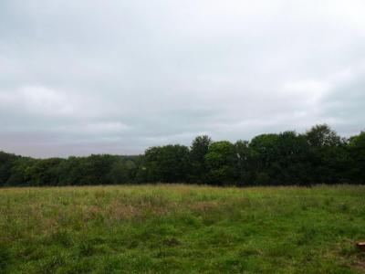 For sale Plouray 28430 m2 Morbihan (56770) photo 3