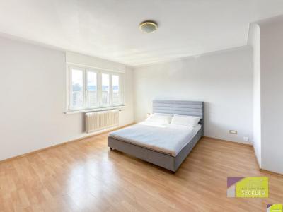 For sale Colmar 3 rooms 83 m2 Haut rhin (68000) photo 2