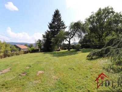 Annonce Vente 5 pices Maison Brouvelieures 88