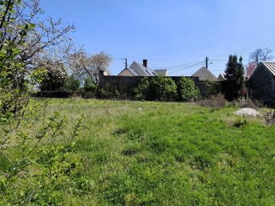 Annonce Vente Terrain Angerville 91