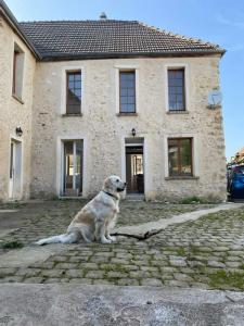 For sale Breuil Marne (51140) photo 0