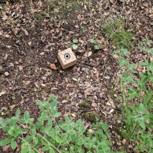 Acheter Terrain 2032 m2 Sartene