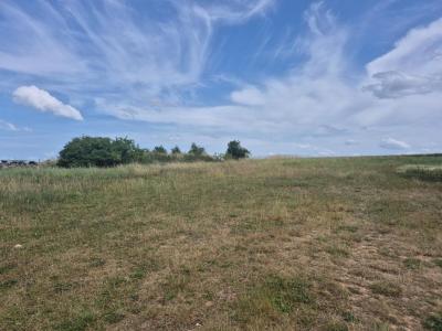 For sale Landes-le-gaulois 1422 m2 Loir et cher (41190) photo 0