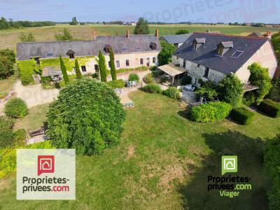 Annonce Viager 30 pices Maison Noyant 49