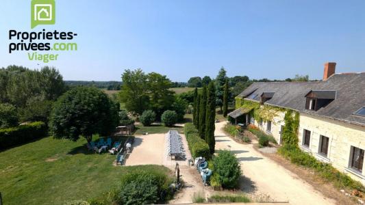 Acheter en viager Maison 635 m2 Noyant