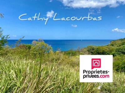 For sale Vieux-habitants 1041 m2 Guadeloupe (97119) photo 0