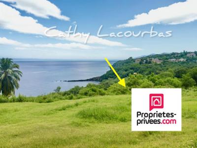 Annonce Vente Terrain Vieux-habitants 971