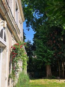 Acheter Maison Avrille Maine et loire