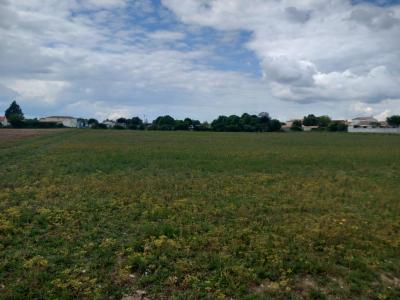 Annonce Vente Terrain Ballon 17