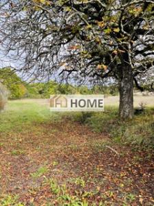 For sale Loupes 650 m2 Gironde (33370) photo 0