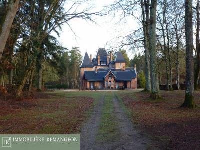 For sale Nouan-le-fuzelier 10 rooms 460 m2 Loir et cher (41600) photo 0