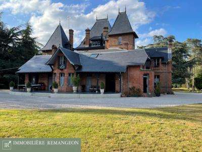 Annonce Vente Prestige Nouan-le-fuzelier 41
