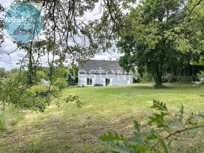 Annonce Vente 5 pices Maison Blois 41