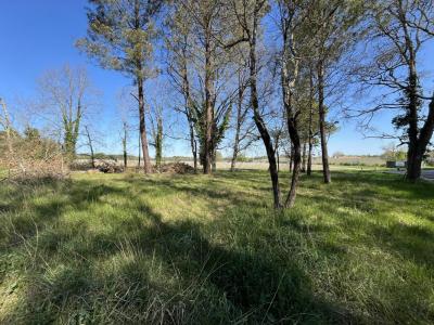 Annonce Vente Terrain Lesparre-medoc 33