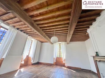 Acheter Maison 300 m2 Mas-d'azil