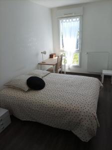 Louer Appartement Nantes Loire atlantique