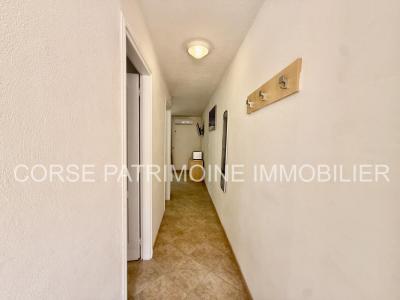 Annonce Vente 2 pices Appartement Linguizzetta 20