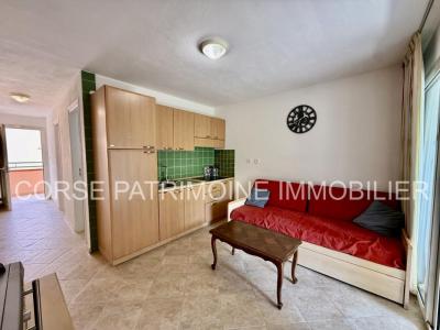 Acheter Appartement 25 m2 Linguizzetta