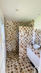 Acheter Maison Puissalicon 479000 euros