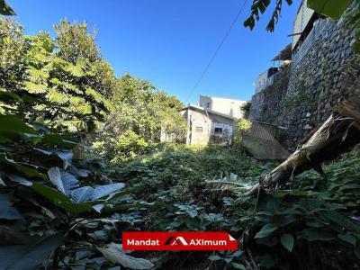 Acheter Maison 67 m2 Avirons