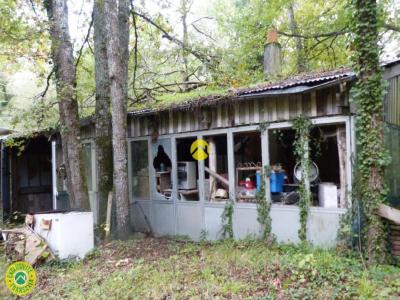 Acheter Terrain 3783 m2 Langeais