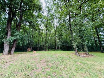 Annonce Vente 4 pices Maison Trentels 47